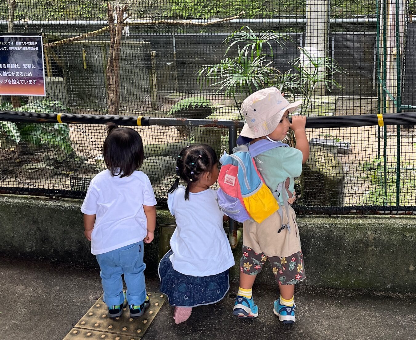 子どもの写真